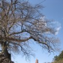 만경읍사무소 이미지