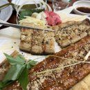 남강장어 이미지