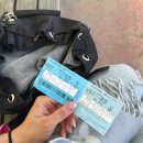 거진호텔 | 청주 숙소 추천 ! 조식, 근처 핫플, 정감호텔 슈페리얼 패밀리 후기