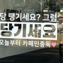 원주시청 | 카페인중독 원주시청점 햅쌀와플 후기 🍓🧇
