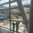 서진푸드 가장점 | 홍천 비발디파크 오션월드 후기 /25년 8월 여름휴가,실내만 즐겨도 꿀행복 ! 아이랑 가기 좋은 워터파크