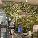 공명(共鳴) | DDP 전시 후기 | 동대문디자인플라자에서 힐링과 체험을 동시에, 2030 추천 공간