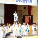 늘품태권도전문도장 이미지