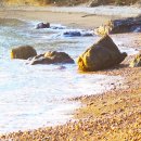 산바다펜션 이미지