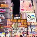 613 | 인천에서 오사카 입국심사 이스타 항공 ZE613 좌석 이용 후기