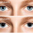 밝은스타안경원 이미지