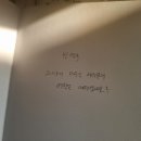 카도스테이 이미지