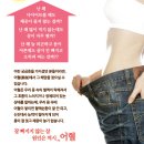 난 왜 다이어트를 해도 체중이 줄지 않는걸까? :어혈다이어트 프로그램 이미지