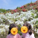 각골동로 이미지