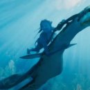 솔지카페 이미지