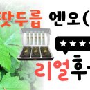 내몸의 엔오 | 천현수박사 땃두릅(천삼)엔오 복용후기모음