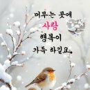 비음로-1 이미지