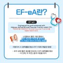 셀루션 네이버블로그