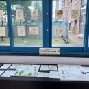 선운초교 이미지