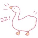 하주방역