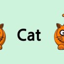 ABC영어 알파벳배우기 이미지