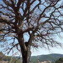 선구보건진료소 이미지