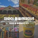 매일농장 | 하와이 돌플랜테이션 파인애플농장 키티