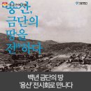 백금단 이미지