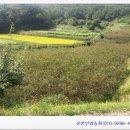인영농원