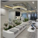 365새로나치과의원 이미지