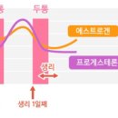 배란때와 생리때 두통오는이유 이미지