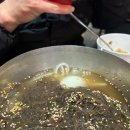 여수동진갈매기 이미지