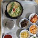 일광보양탕 이미지