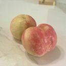 박은숙농장 | [경북/영천] 영천복숭아 스타복숭아 (내돈내산)