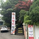 수원시 팔달구 행궁로84번길 | 수원 행궁동맛집 시골집우렁이쌈밥 후기