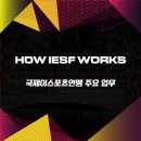 국제이스포츠협회