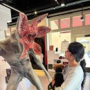 오늘DOG예쁨 | 사인, 그린피스 천문대, 할리우드거리, 플리마켓, BMO 스타디움 (LA FC 직관 후기), 타코 로스 촐로스 포장