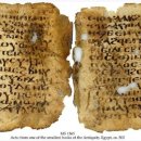 신성가축약품 | (사본학)신약성서 본문비평의 최근 동향 - 민경식박사