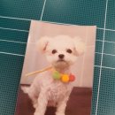 용인해성동물병원 이미지