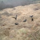 오름이야기 이미지