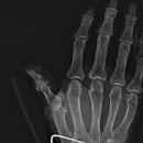 CW-0259-01 이미지