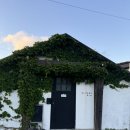 미드나잇코티지 이미지