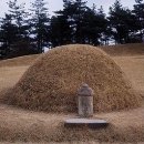 성삼문 선생 유허지 | 성삼문 이 몸이 죽어가서, 시조, 후손, 묘소, 오동나무, 성삼문의 절명시, 딸