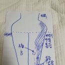왼쪽 허리 밑~~통증 이미지