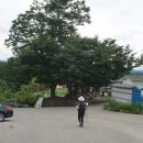 외장포경로당 네이버블로그