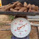 구하리농장 이미지