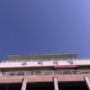 수희식당 | 제주 수희식당 내돈내산 후기 (몸국·갈치국·미역국)