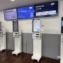 본렌터카 | 제주도렌터카로 제주엔젤카 선택한 이유, 제주도렌터카추천 후기