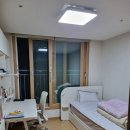 대원아파트산책로 이미지