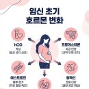 OKADA PC | 보건소 난임 지원사업과 유산 후 임신과정에서 한약 처방에 대한 소고 2