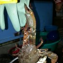 소풍민박 이미지