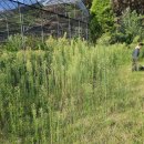 포항시북구2 | 포항시 북구 청하면 고현리 벌초대행 후기