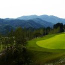 더플레이어스골프클럽 이미지