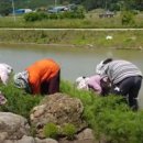 솔바람권역마을 이미지