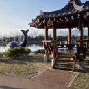 우로지 자연숲 공원(메타세쿼이아길) 이미지